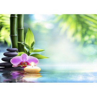 Tranh dán tường 3D SPA - vải lụa phủ kim sa (Kích thước theo yêu cầu)