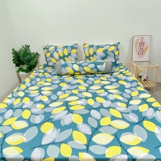 set 4 drap/ga áo gối THUN LẠNH HÀN QUỐC