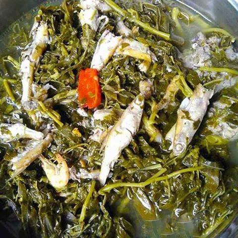 Rau Sắn Muối Chua (1,5kg) Bách Hóa Qfoods - Đặc Sản Phú Thọ - Rau sắn Bà Quy | BigBuy360 - bigbuy360.vn