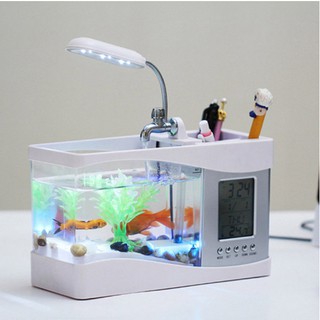 BỂ CÁ MINI  ĐỂ BÀN TRANG TRÍ- CÓ ĐỦ CÁC PHỤ KIỆN KÈM THEO- TẶNG KÈM 1 LỌ THƯC ĂN CHO CÁ