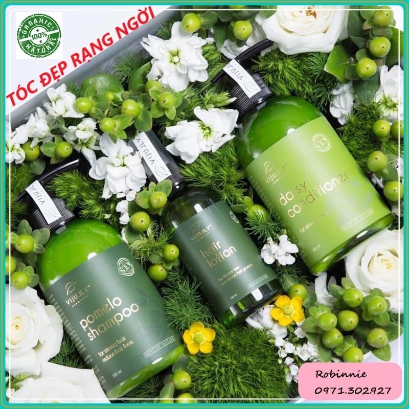 [ CHÍNH HÃNG 100% ] COMBO TÁCH RỜI VI JULLY CHĂM SÓC TÓC CAO CẤP