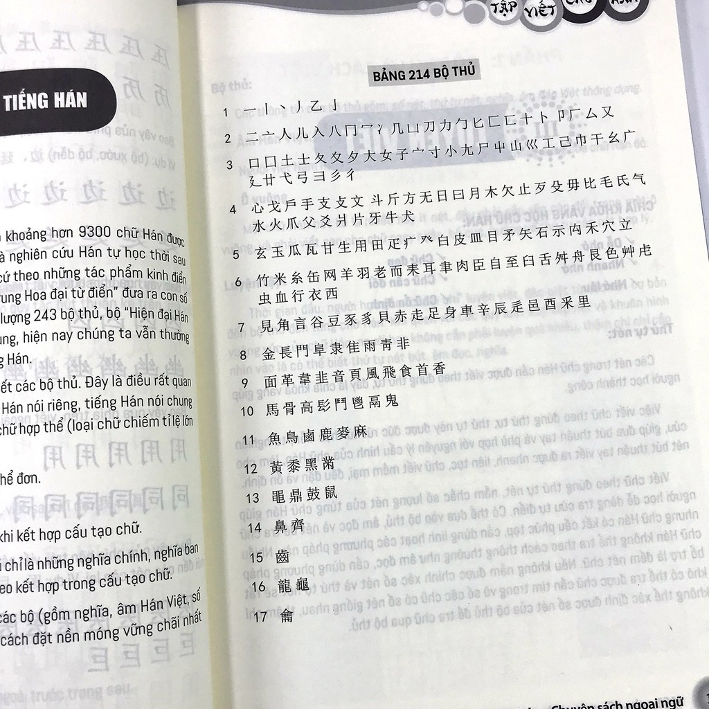 Sách - Tập viết chữ Hán - Theo giáo trình Hán ngữ BOYA - Sơ cấp 1