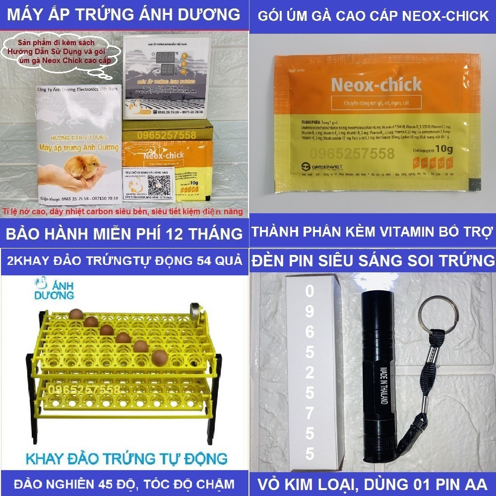 4 món Máy ấp trứng gà Ánh Dương P100 + 2 Khay đảo tự động, 01 đèn pin soi trứng tặng vitamin úm