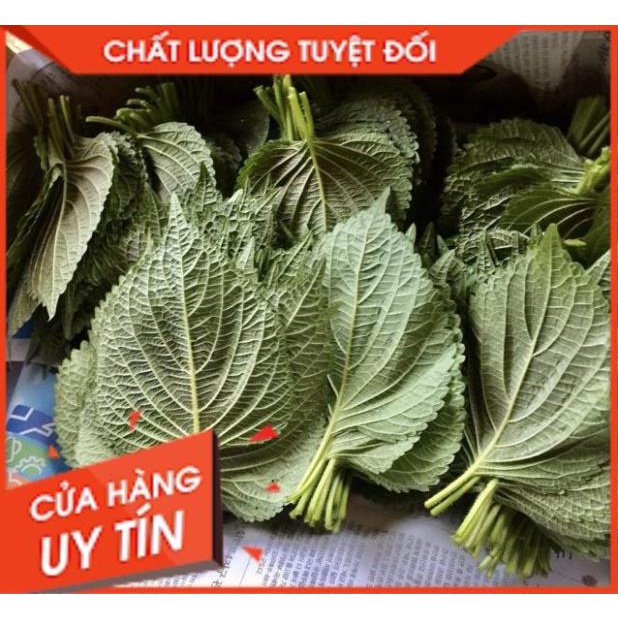 Tổng Buôn Siêu rẻ > Lá Kenhip Vừng Mè Tía Tô Cuốn Thịt nướng Hàn Quốc 1kg