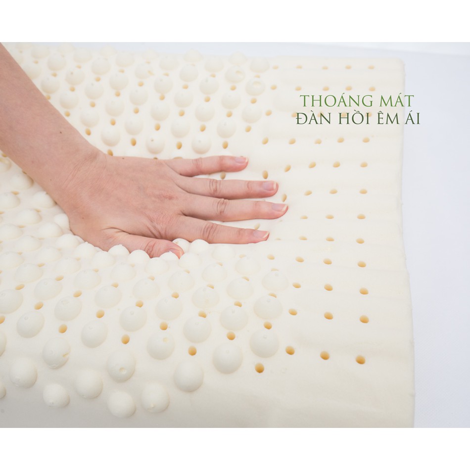 [Mã giảm 8% tối đa 1 Triệu đơn 500k] Gối 100% cao su thiên nhiên Massage Vạn Thành New G1 40x60x12cm