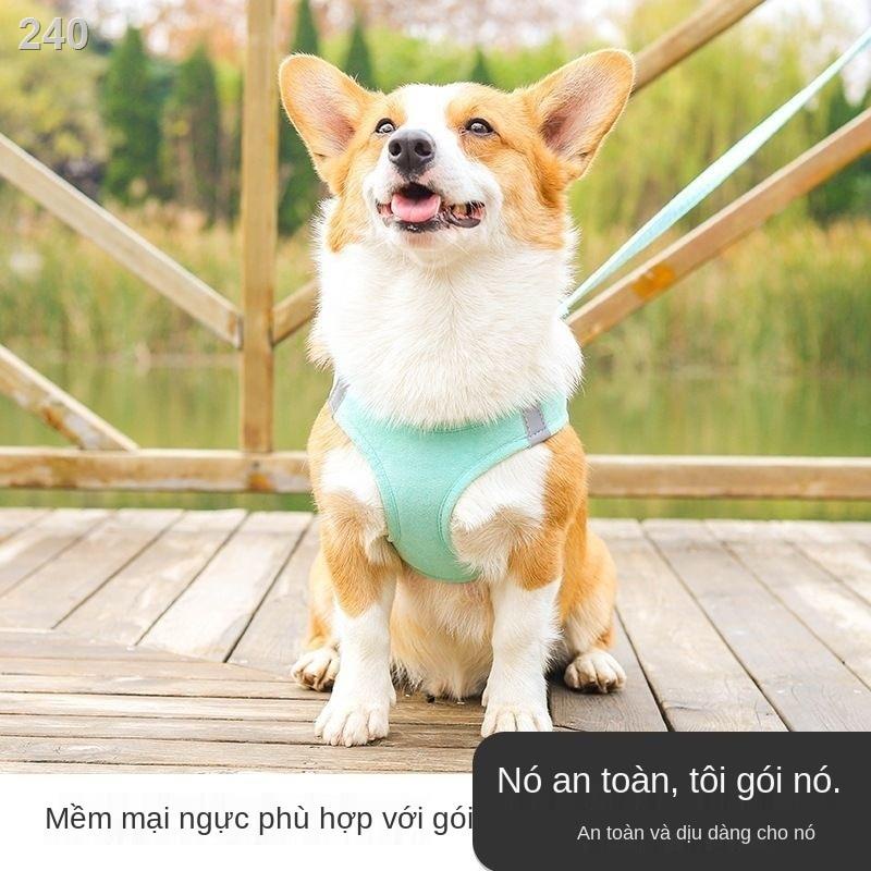 【sản phẩm trên tiktok】Dây thừng kéo chó kiểu áo vest Teddy Corgi bichon chiến đấu với cỡ vừa và nhỏ nịt cho đi bộ