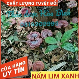 [ Shop Mới ] Nấn Lim Xanh Rừng Tự nhiên, nguyên chất 500g - Hàng mới,  khô,  không trộn, chuẩn  chất lượng