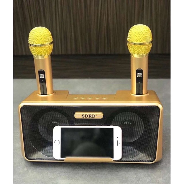 Loa karaoke bluetooth kiêm giá đỡ đt SD-301