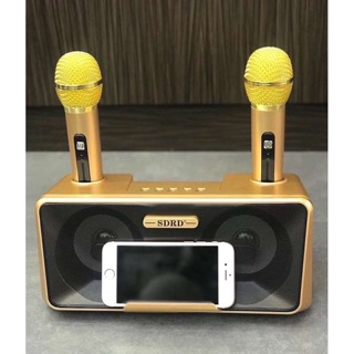 Loa karaoke bluetooth kiêm giá đỡ đt SD-301
