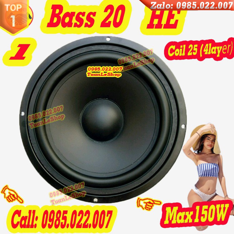 LOA BASS 20 TỪ 100 – GIÁ 01 CỦ LOA