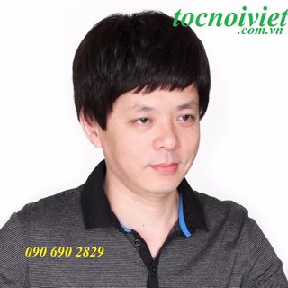 Tóc giả nam trung niên