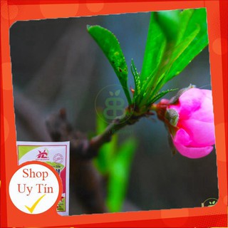 - Phân Bón Siêu Lân Đỏ Hà Lan chất lượng.