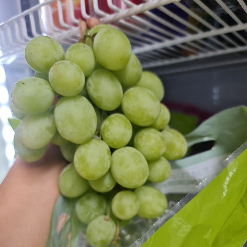 Nho xanh Austra hàng bay tươi ngon, giòn ngọt