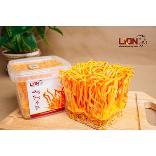 Hộp Đông Trùng Hạ Thảo Tươi LION - Hộp 200gr - Bảo Hành 1 đổi 1 - Giảm ho, hen suyễn, bồi bổ cơ thể, tăng sức đề kháng