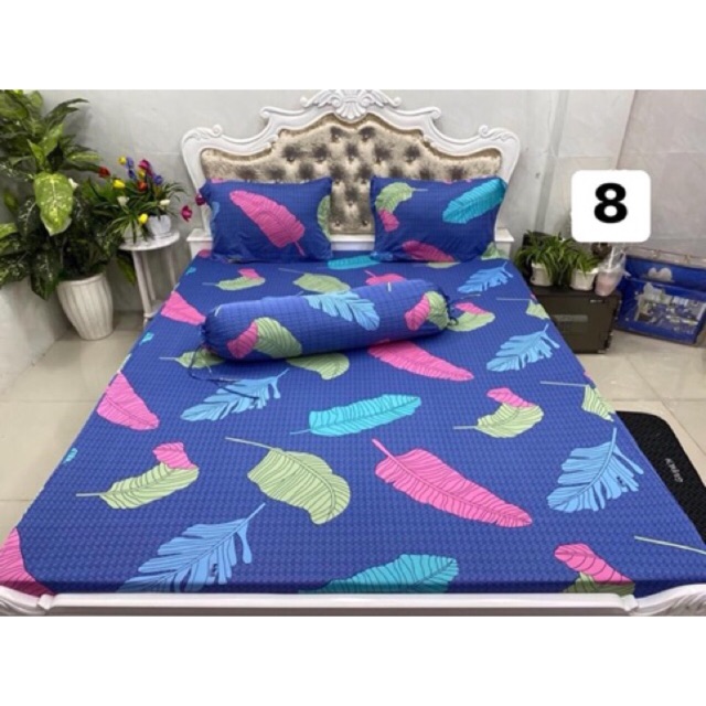 Drap thun lạnh hàn quốc