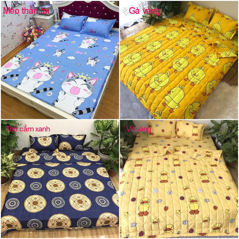 Bộ vỏ chăn ga gối poly cotton trong nước (tất cả các mẫu) - drap trải giường