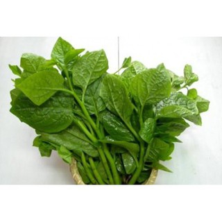 Hạt Giống Mồng Tơi Cao Sản Phú Nông (20 Gr)