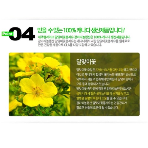 Tinh dầu hoa anh thảo Vitamin E EPO 1.010mg 180 viên