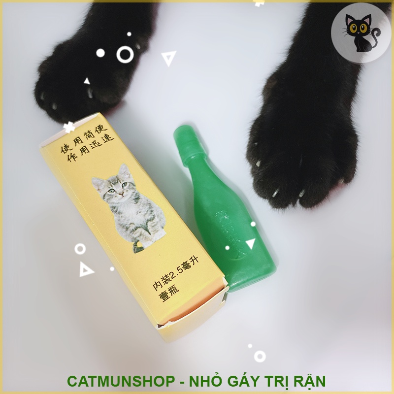 Nhỏ gáy mèo