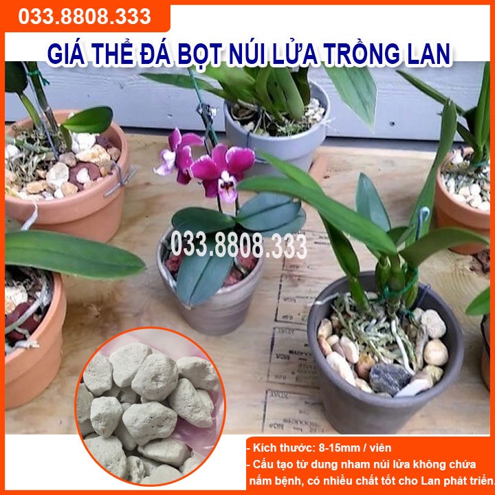 Giá Thể Trồng Lan Đá Bọt 5dm  - Hàng Đẹp