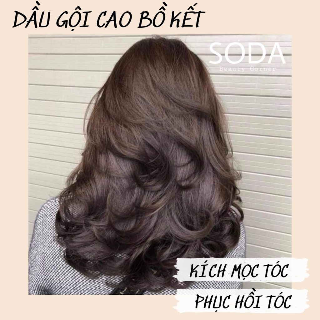 Dầu Gội Thuần Chay Bồ Kết Thuốc Bắc Giúp Kích Mọc Tóc Và Giảm Rụng Tóc - SODA Beauty Corner.