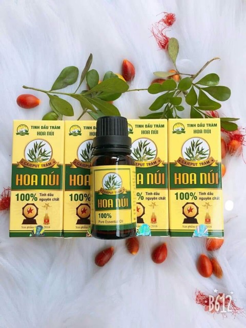 COMBO 5 TINH DẦU TRÀM HOA NÚI