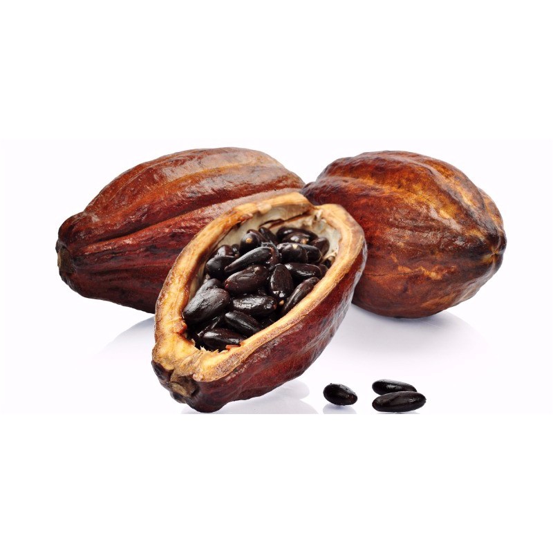 Cacao nguyên chất 100% - 500gr - Đắk Lắk