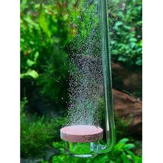 Dây sủi Oxy - CO2 loại dày chống gập cho bể cá - Thủy sinh