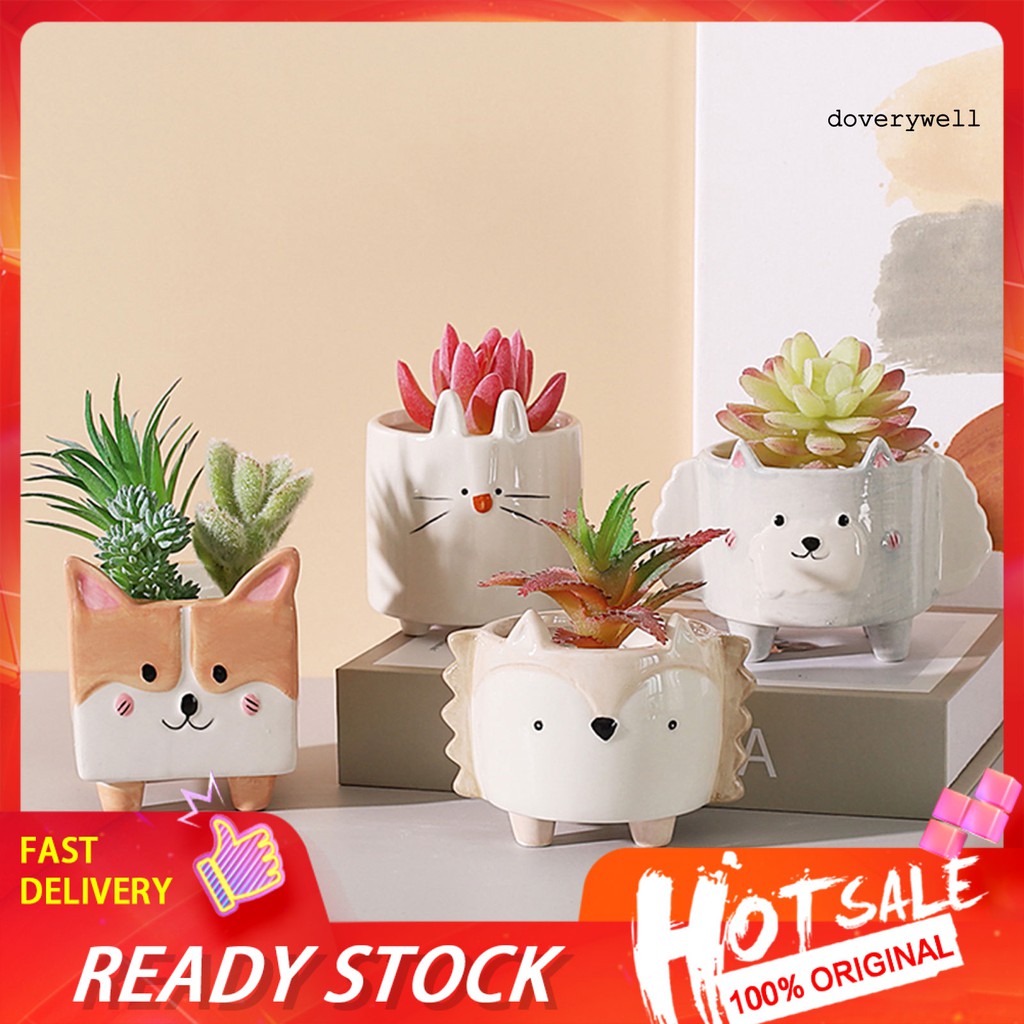 Chậu Hoa Bằng Sứ Hình Chú Nhím Đáng Yêu Xinh Xắn