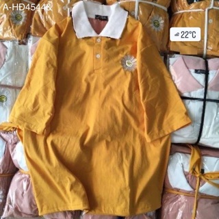 Áo polo hoa cúc - HĐ