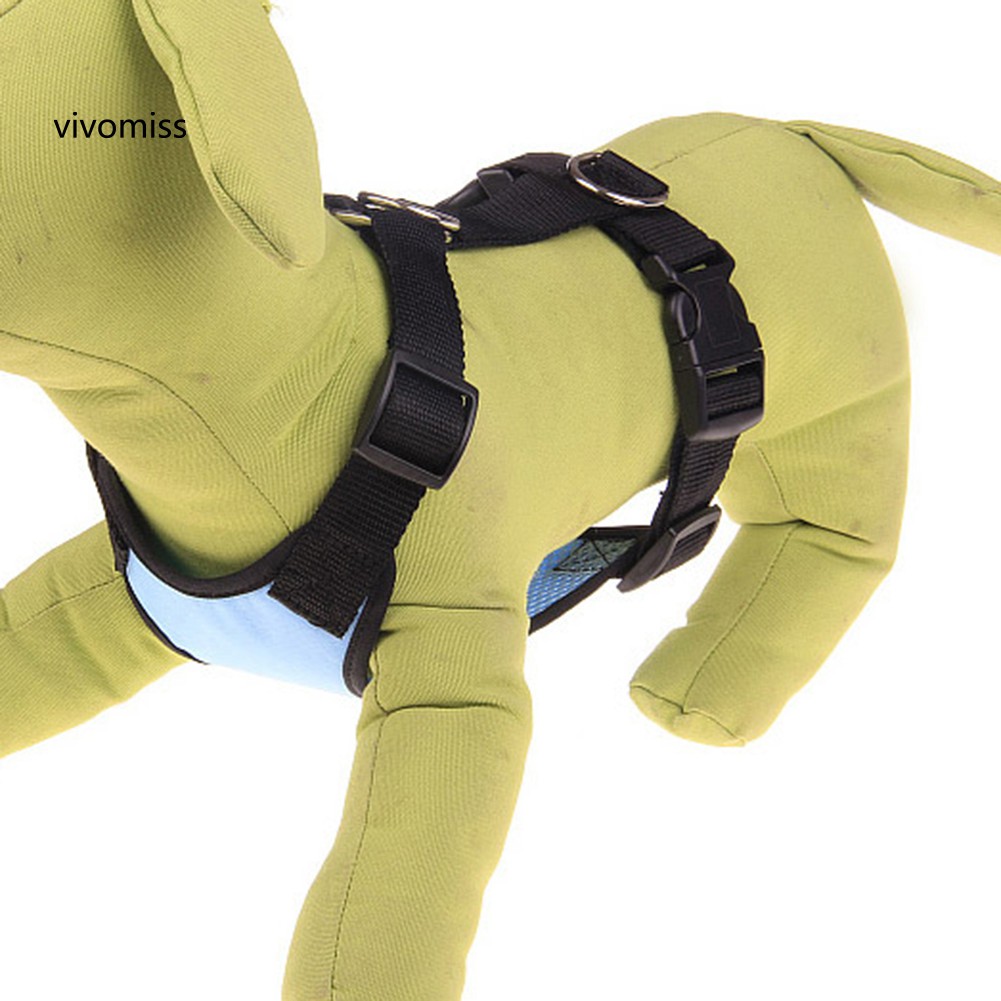 Bộ Yếm Lưới + Dây Dắt Thú Cưng Đi Dạo