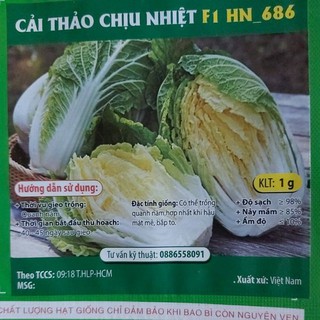 cải thảo chịu nhiệt