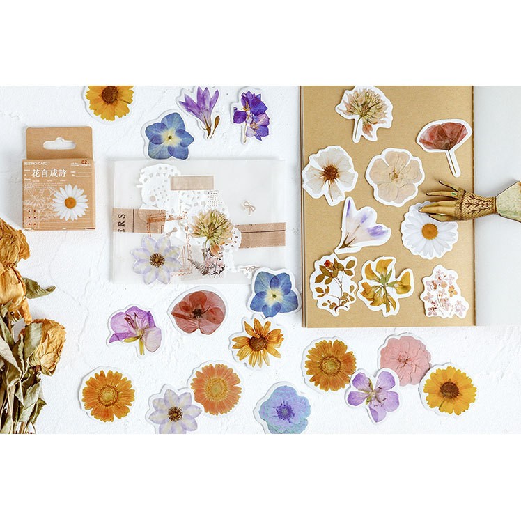 Hộp 46 miếng sticker mẫu hoa cúc trắng