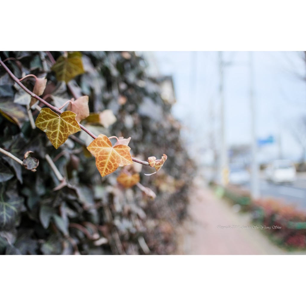 Ống kính máy ảnh Quantaray 24mm f2.8 Macro AF Sony A  - 11053