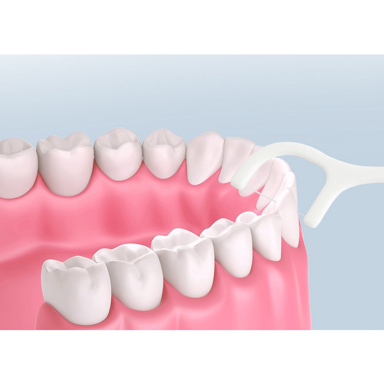 Hộp 50 Tăm Xỉa Răng Chỉ Nha Khoa 2 Đầu Macromolecule