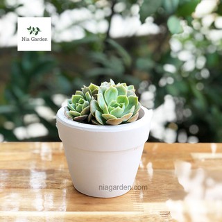 Chậu đất nung 9x9cm trắng trồng cây, xương rồng, sen đá