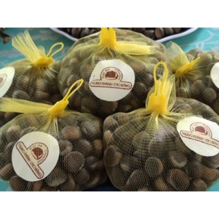 [COMBO] 5kg Hạt Dẻ Tươi Cao Bằng Loại 1 Ngon Tuyệt