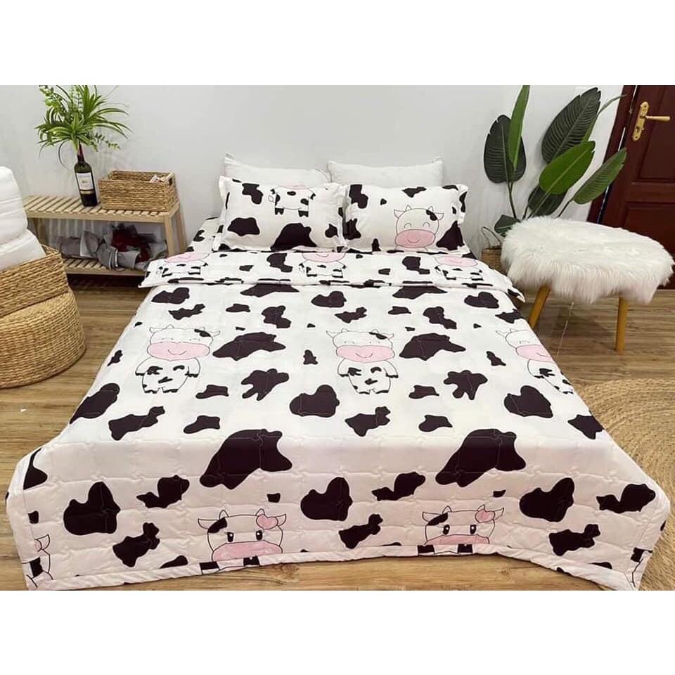 Bộ 3 món ga gối cotton poly đủ kích thước | BigBuy360 - bigbuy360.vn