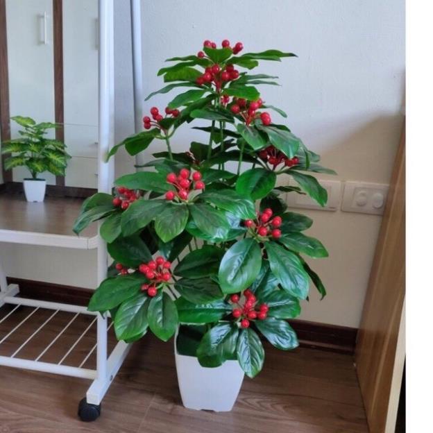 Cây sơri cao cấp 80cm kèm chậu siêu đẹp - cây giả