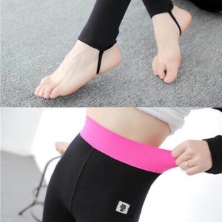 Quần legging mèo