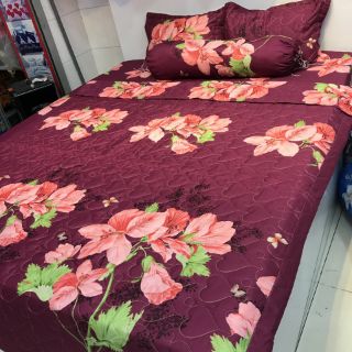 Trọn bộ 5 món cotton poly