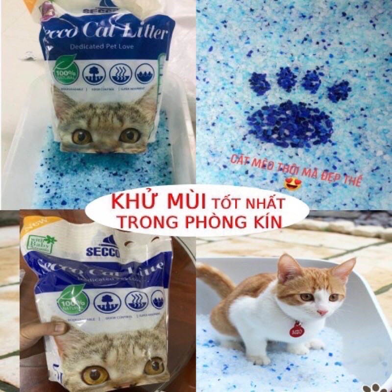 [SIÊU RẺ] 1 TẢI 8 Gói Cát Thuỷ Tinh Secco 5 Lít Siêu Tiết Kiệm cho Mèo