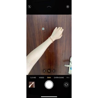 thảo mộc thảo mộc