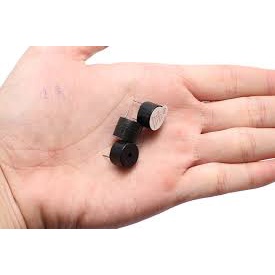 CÒI CHIP 12V SET COMBO 5/10/20 cái