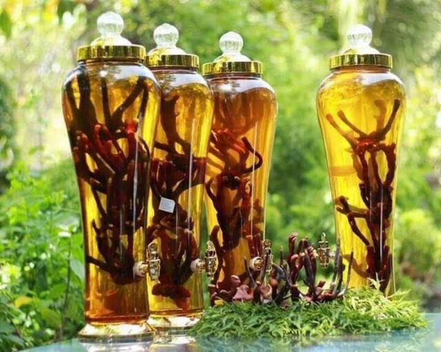 [500g] Nấm Sừng Hươu Tây Bắc hàng nguyên chất