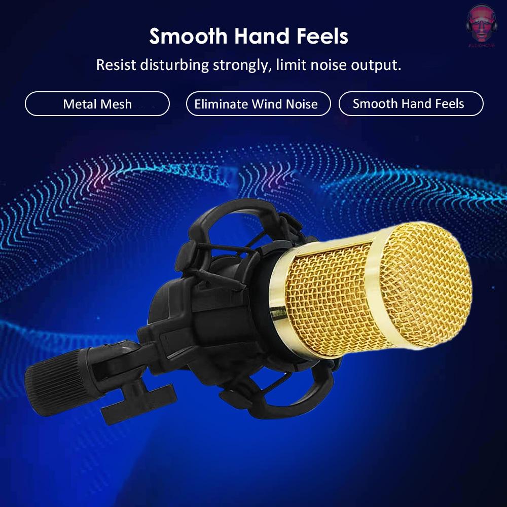 AUDI  BM800 Condenser Microphone Portable High Sensitivity Low Noise Mic Kit for Computer Mobile Phone Studio Live Stream Broadcasting Recording