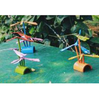10 Cây chuồn chuồn tre ( không bao gồm chuồn)