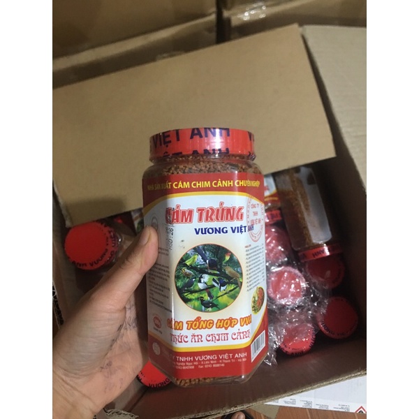 Cám trứng việt anh