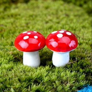 Combo 5 cây nấm xốp trang trí tiểu cảnh, terrarium