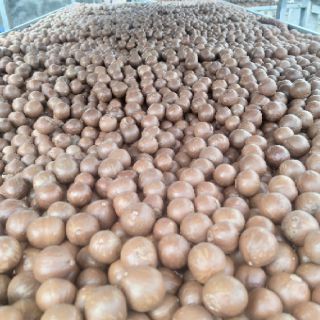 500g hạt mắc ca sấy size đại (> 2.5cm)